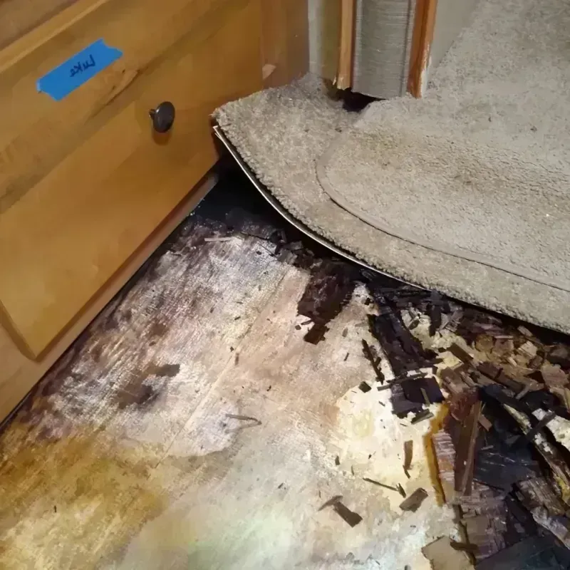 Best Wood Floor Water Damage Service in Elberta, AL